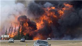 加拿大森林野火