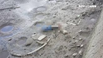 誰殺了Ryan？警封鎖住家採證緝凶