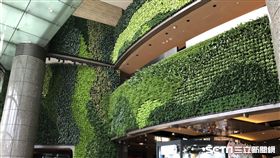 百貨公司,京站,植生牆。（圖／京站提供）