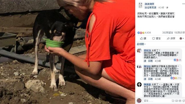分屍案忠犬LULU尋獲　送醫並安置