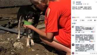 分屍案忠犬LULU尋獲　送醫並安置