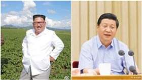 中國大陸,北韓,習近平,金正恩,拜訪（圖／翻攝自微博）