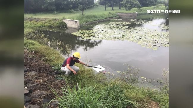 漏油案餘波！油庫旁「生態池」遭污染