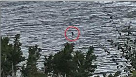 尼斯湖水怪再現？英國約克郡一名12歲女童羅賓遜（Charlotte Robinson），日前與家人到尼斯湖時，拍到一張疑似水怪的照片，她激動直喊「我相信尼斯湖水怪存在，牠的脖子及頭部呈鉤狀！」（圖／翻攝自每日郵報）