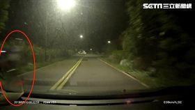 陽金公路,翹孤輪,危險駕駛,白影,危險駕駛,罰單