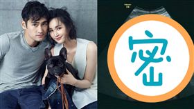 張歆藝,袁弘/翻攝自微博