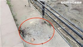 分屍案,第一現場,血跡反應,漲潮,退潮,河堤階梯。（記者游承霖攝影）