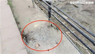 分屍案第一現場曝光？嫌竟在這兒肢解