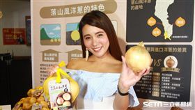 全聯,落山風洋蔥。（圖／記者馮珮汶攝）