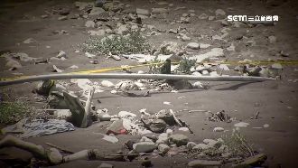 Ryan分屍案　高大成：外國人犯案