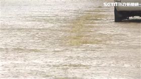 大雨、積水、豪雨