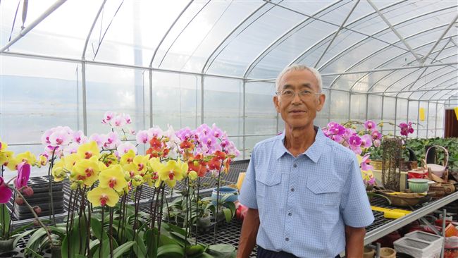 台灣蘭花享譽國際　他盼花博更加推廣