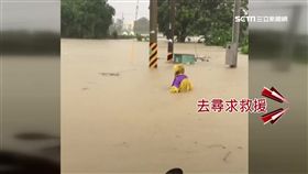 義竹淹滅村,嘉義,義竹,淹水,後鎮村,災區