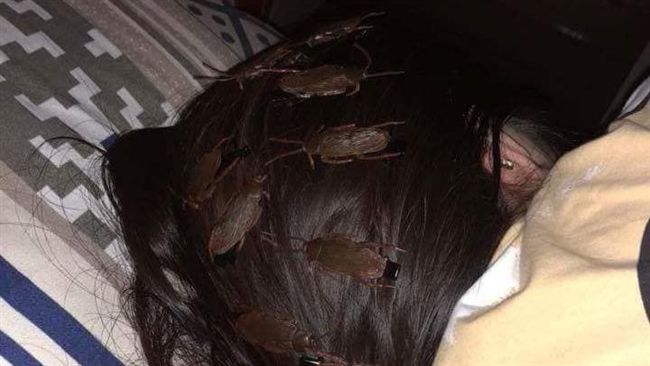 女遭惡整爬滿「蟑螂」！網嚇到吃手手