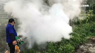 中市登革熱6天爆15例　最小僅4歲