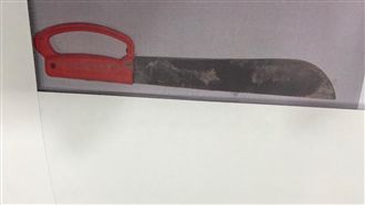 分屍兇刀夜半震動　引警「以刀追人」