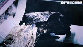 高瞻秘案第五集