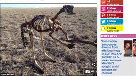 澳洲,袋鼠,乾旱,乾屍,農民
http://www.dailymail.co.uk/news/article-6051303/Confronting-photo-dead-kangaroo-upright-highlights-reality-Australias-drought.html