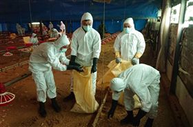 翻攝蔡英文臉書。