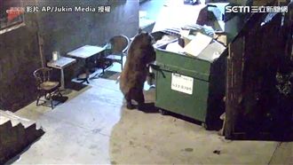 熊熊「巴豆妖」！垃圾箱當冰箱