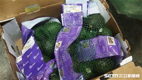 好市多自美國進口的「INDEX FRESH酪梨(FRESH AVOCADO)」檢出重金屬鎘超標不符合規定，違規產品依規定退運或銷毀。（圖／食藥署提供）