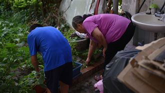 男童努力學畫畫　想賺獎金養生病阿嬤