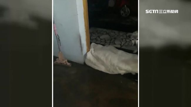 「什麼都用了」大寮居民祭出棉被擋水