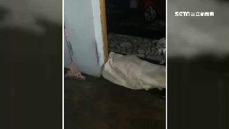 「什麼都用了」大寮居民祭出棉被擋水