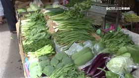 淹水效應! 地瓜葉漲6成 全雞下週恐破5百元,菜價,漲價,市場,買菜,賣菜,菜市場