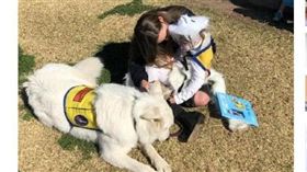 女孩本來是扮公主的年紀　媽媽卻把她扮成服務犬
新媒體
服務犬,導盲犬,狗狗,心靈,澳洲