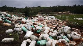 金門海岸保麗龍積成河　對岸隨海流漂來