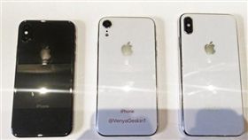 蘋果,新iPhone,愛瘋
圖／翻攝推特