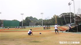 ▲台灣中華隊休兵日正常練球。（圖／記者蕭保祥攝影）