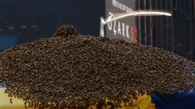 紐約客傻眼！2萬「蜜蜂」包圍熱狗攤
紐約,時代廣場,熱狗,蜜蜂,NYPD
翻攝自推特