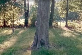 Google街景看到鬼　驚見灰臉小女孩
Google map