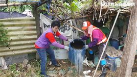 網路謠傳,台中市,本土型登革熱,病毒,出血,死亡率,謠言