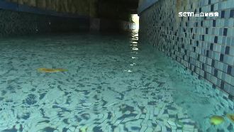 鎖定落單女童　漂漂河8米山洞成死角