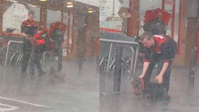 狗雨中等主人　男飛奔替牠蓋外套遮雨