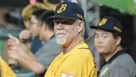 中信兄弟總教練史耐德　圖／記者林敬旻攝