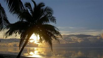 楊偉中於全球最美島嶼度假救女溺斃