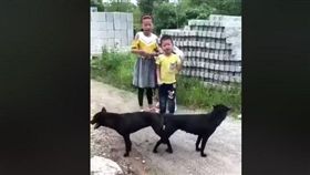 見黑狗野外拔河　童言童語惹笑網友。（圖／翻攝自臉書爆笑公社）