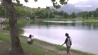 網美打卡夯地　附近其實是「夜總會」