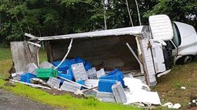 4500多隻龍蝦橫死公路，美國善待動物組織要求設墓碑。（圖／翻攝Daily Mail）
