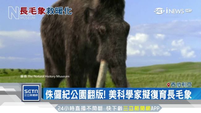 暖化救星？美科學家竟想復育長毛象