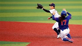 ▲中華女棒與日本爭冠。（圖／取自WBSC官網）