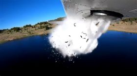 天降3萬條魚！美猶他州空投魚苗　圖／翻攝自Utah DWR推特