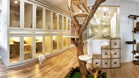 寵物旅館。（圖／台北市動保處提供）