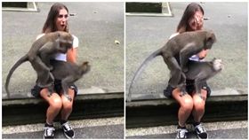 峇厘島,猴子,活春宮,大腿(圖/翻攝自camillavalotti IG)