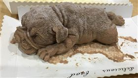 女怨網購狗狗冰，竟收到像腐屍一樣的狗。（圖／翻攝爆廢公社）