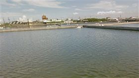 雨量平均加治水奏效　屏東養殖逃雨劫